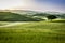 Foggy meadows in the morning, Tuscany