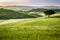 Foggy meadows in the morning, Tuscany