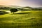 Foggy meadows in the morning, Tuscany