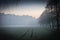 Foggy mistical atmosphere in winter time fields and forest