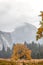 A foggy and misty morning in the Yosemite Valley in front of Half Dome