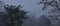 foggy and misty tropical forest of terai region, located on himalayan foothills