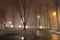 Foggy moist winter evening in the city. Empty cold winter evening in the city with bare tree trunks, electric lights, wet sidewalk