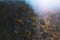 Foggy and moody scenery in the Vosges mountains, France. Colorful trees and rocky cliff landscape