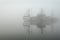 Foggy Moorage, Steveston Harbor