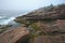 Foggy morning in Acadia National Park, Maine.