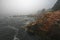 Foggy morning in Acadia National Park, Maine.