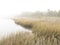 A Foggy Morning along Delaware`s Indian River
