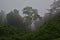 Foggy morning in Bwindi Impenetrable National Park