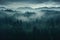 Foggy morning in the Carpathian mountains, Ukraine, Misty dark forest aerial landscape view, AI Generated