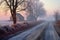 foggy morning drive on a frost-covered rural road