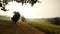 Foggy morning in a field in nature with the sunflowers trees and plants in Lecture, South France