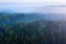 Foggy morning forest aerial view. Top view green forest in mist. Autumn background. Fall