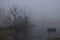 Foggy morning. Gray mystical landscape