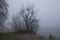 Foggy morning. Gray mystical landscape