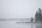 Foggy morning on a lake with distant trees and grasses