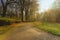 Foggy morning in the old autumnal park. Sunbeams falling on the colorful trees, path wih wooden benchs