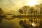 Foggy morning over the lake, fall trees reflected in water