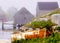 Foggy Morning - Peggy\'s Cove, Nova Scotia