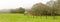 Foggy Morning, Ranch Fences and Oak Trees Panoramic