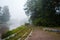 Foggy morning by the river with a path beside the treeline, Forssa Finland