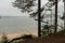 Foggy morning by the sea. Sandy coast, pine forest. the island is visible in the distance. The nature of Scandinavia. Finland. Por