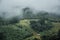 Foggy morning at Tea Plantation and mountain landscape in Thailand,