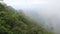 Foggy Mountain blowing the tree forest at speed, Mist in Forest.