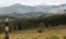 Foggy Mountain Clearcut Logging Effect Tree Stumps Deforestation