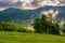 Foggy mountain ridge over the forest in springtime