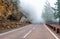 Foggy mountain road in the Natural Park of the Corona Forestal. Tenerife, Canary Islands, Spain.