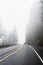 Foggy mountain road in Pacific Northwest_002