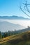 Foggy Mountains with Pine Trees in the background