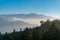 Foggy Mountains with Pine Trees in the background