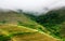 Foggy mystical rice terrace landscape in Longsheng, China