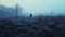 Foggy Night In A Field Midwest Gothic Matte Painting