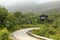 Foggy Norwegian mountain road