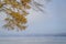 foggy November morning over the Tennessee River at Colbert Ferry Park