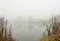 Foggy November morning at the pond