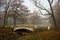 Foggy October morning in the Alexander Park in Tsarskoe Selo