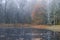 Foggy October morning on an old pond. Petrovskoe, Pushkinskie Gory. Russia