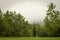 Foggy Overlook of the Superior National Forest