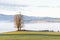 foggy panorama, trees, rolling hills and green fields at sunrise. Switzerland, Bern,, Europe