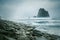 Foggy Papuma beach with frothy waves