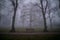 Foggy park scene, scary and dramatic view on the bench between trees with naked branches