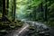 Foggy Path. Mystical Road through Ancient Forest with Ethereal Light Filtering through Dense Canopy