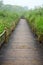 Foggy path trail, summer background