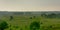 Foggy peat landscape with trees and shrubs in Kalmthout heath