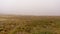 Foggy peatland on a hazy day in Wicklow mountains