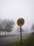 Foggy railroad crossing